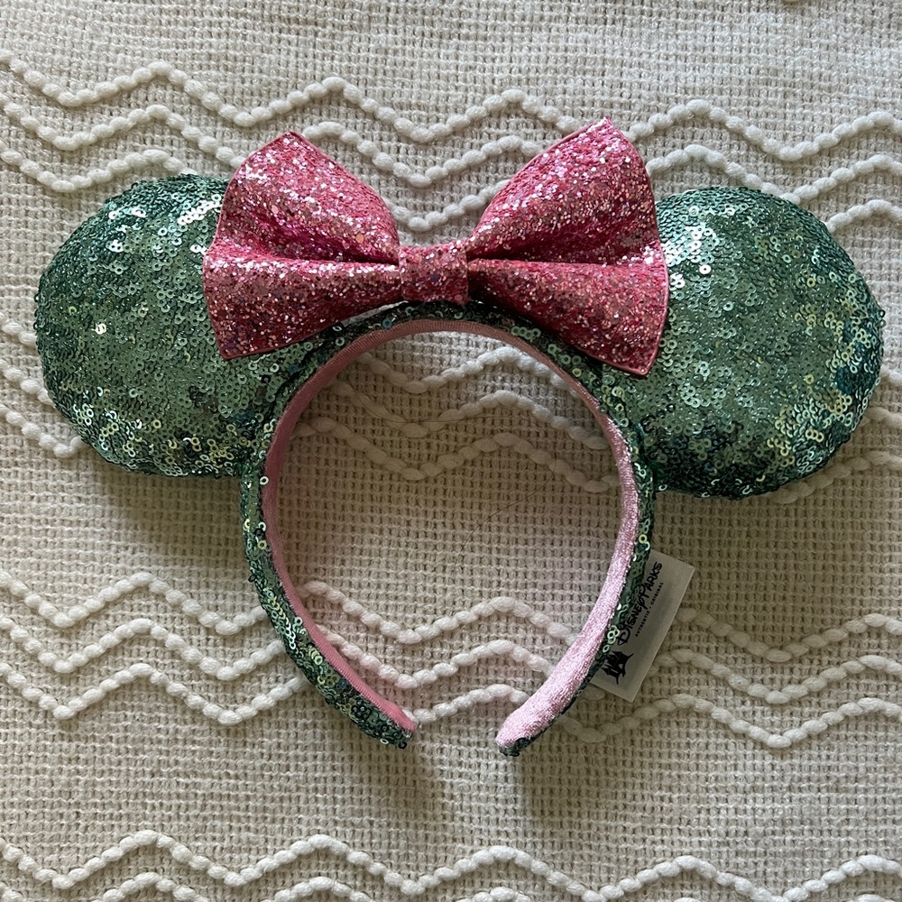 Mint and Pink Disney Parks ears 🏰✨